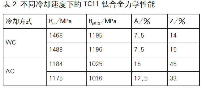 b2.jpg